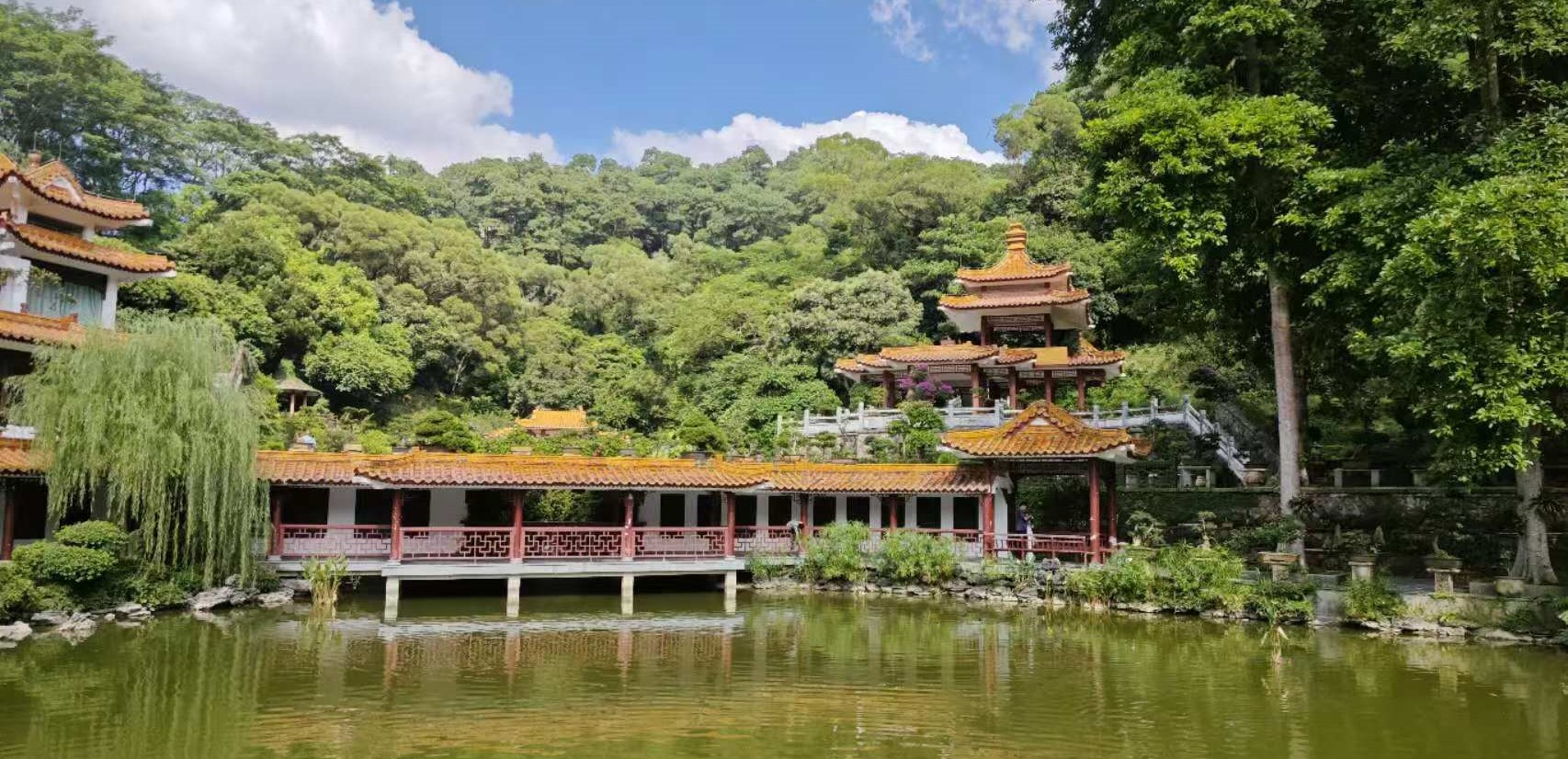 仙湖植物园
